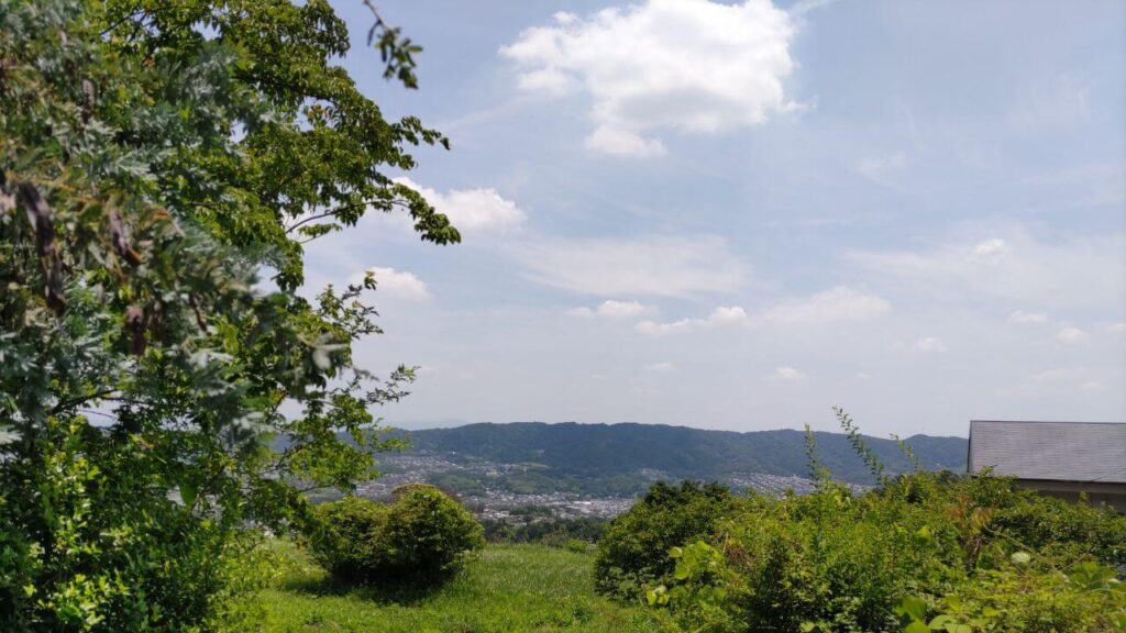 ラッキーガーデン6