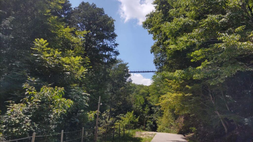 大阪府民の森ほしだ園地 星のブランコ