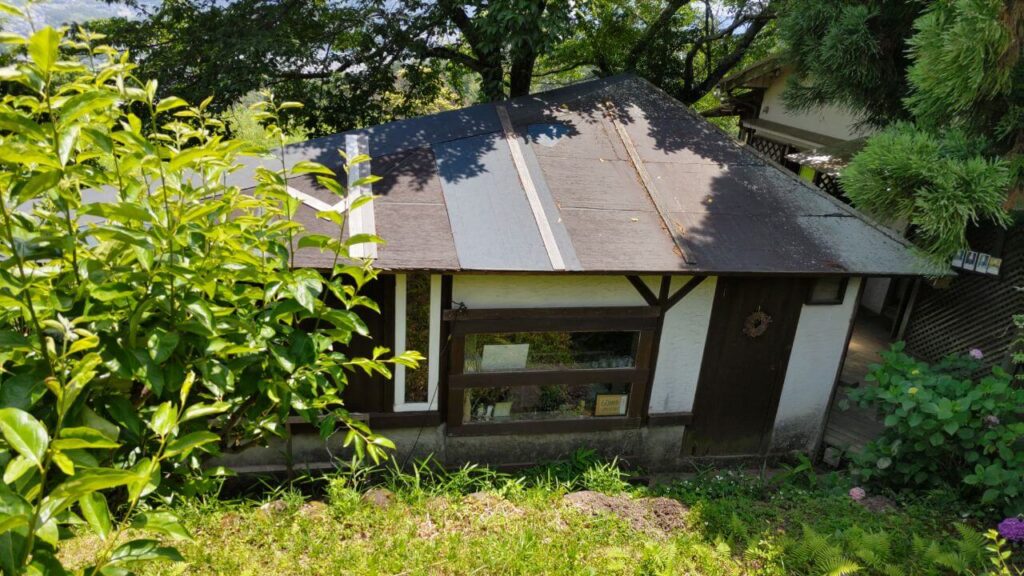 ラッキーガーデン9