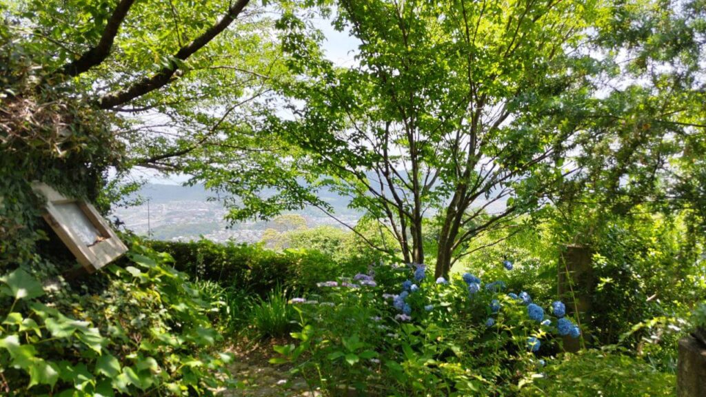 ラッキーガーデン5