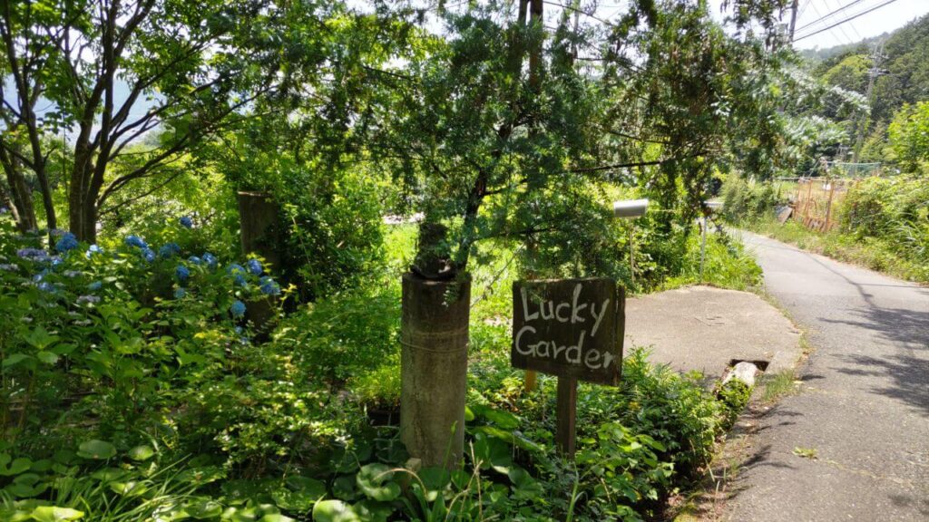 ラッキーガーデン8