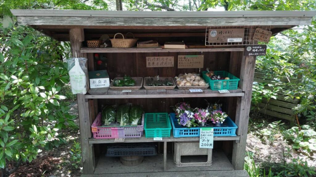 ラッキーガーデン11