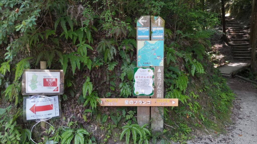 大阪府民の森ほしだ園地 星のブランコ 分岐点