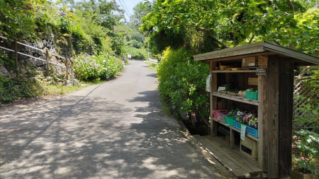 ラッキーガーデン7