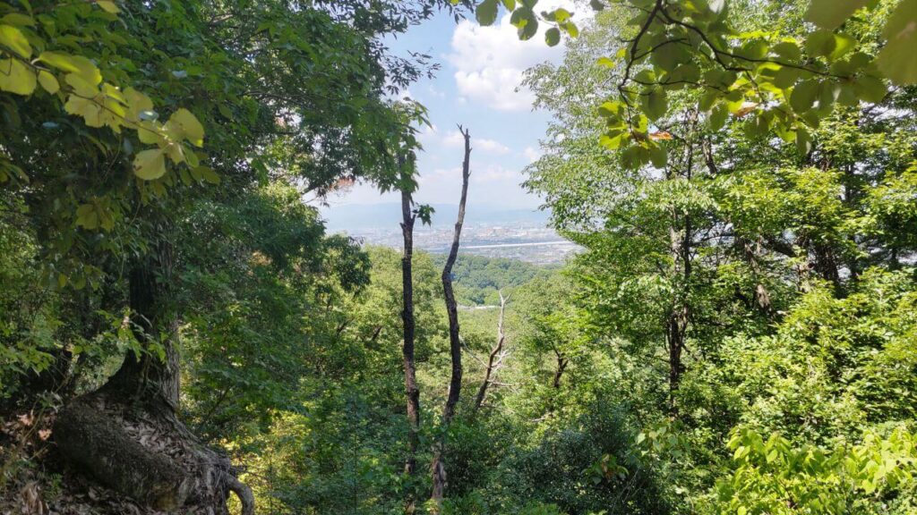 大阪府民の森ほしだ園地内景色